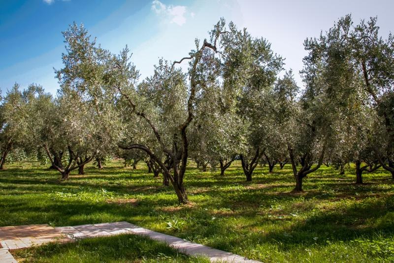Гостевой дом Borgo Rurale San Giusto Кастаньето-Кардуччи Экстерьер фото